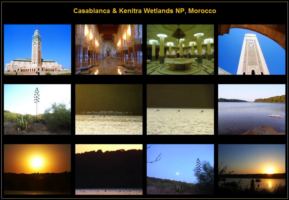 Africa (12)