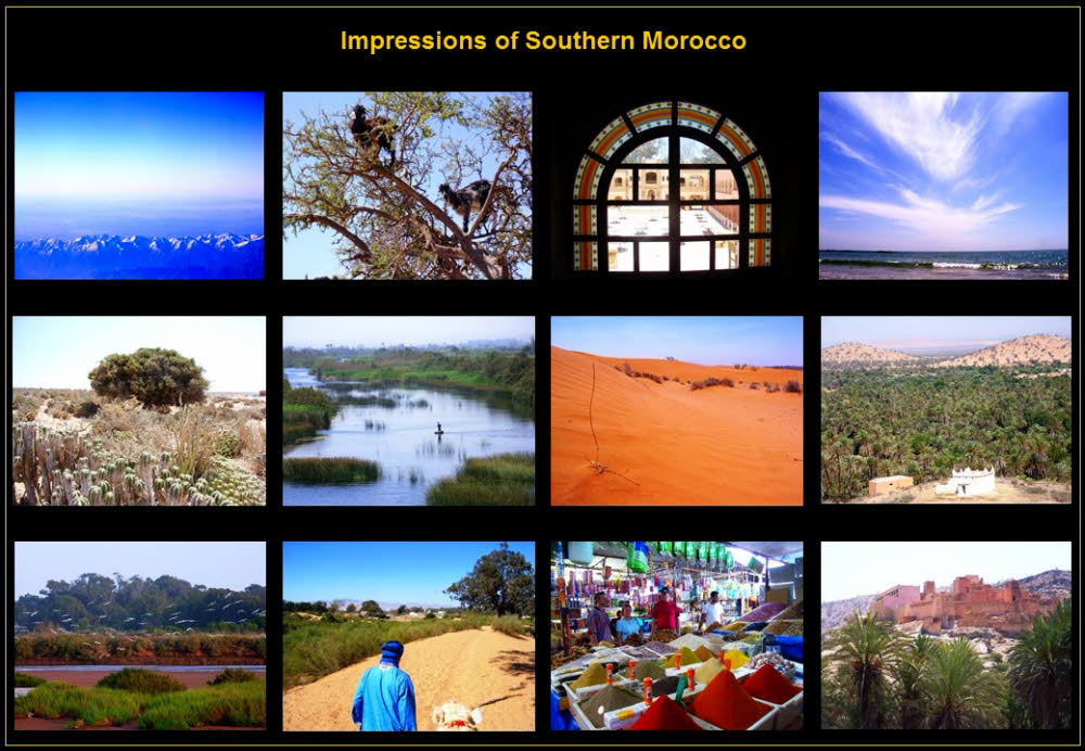 Africa (13)