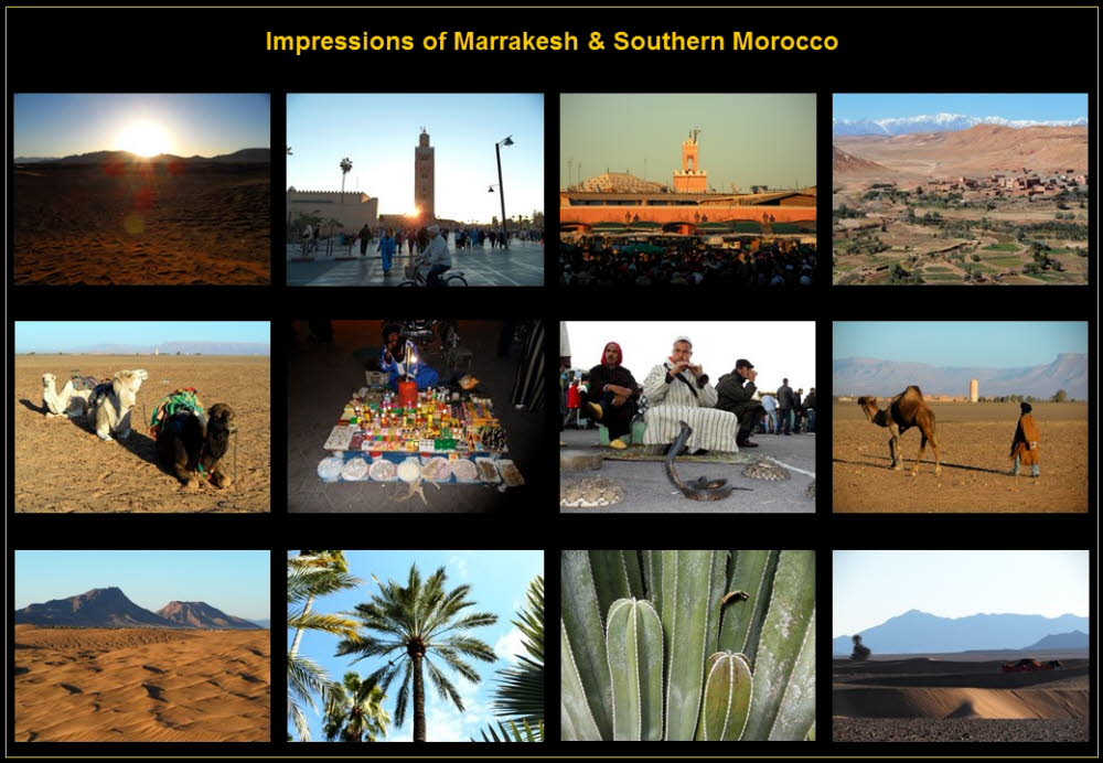 Africa (14)