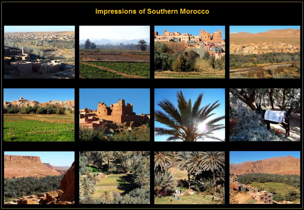 Africa (16)