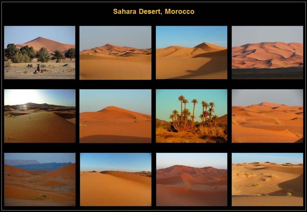 Africa (24)