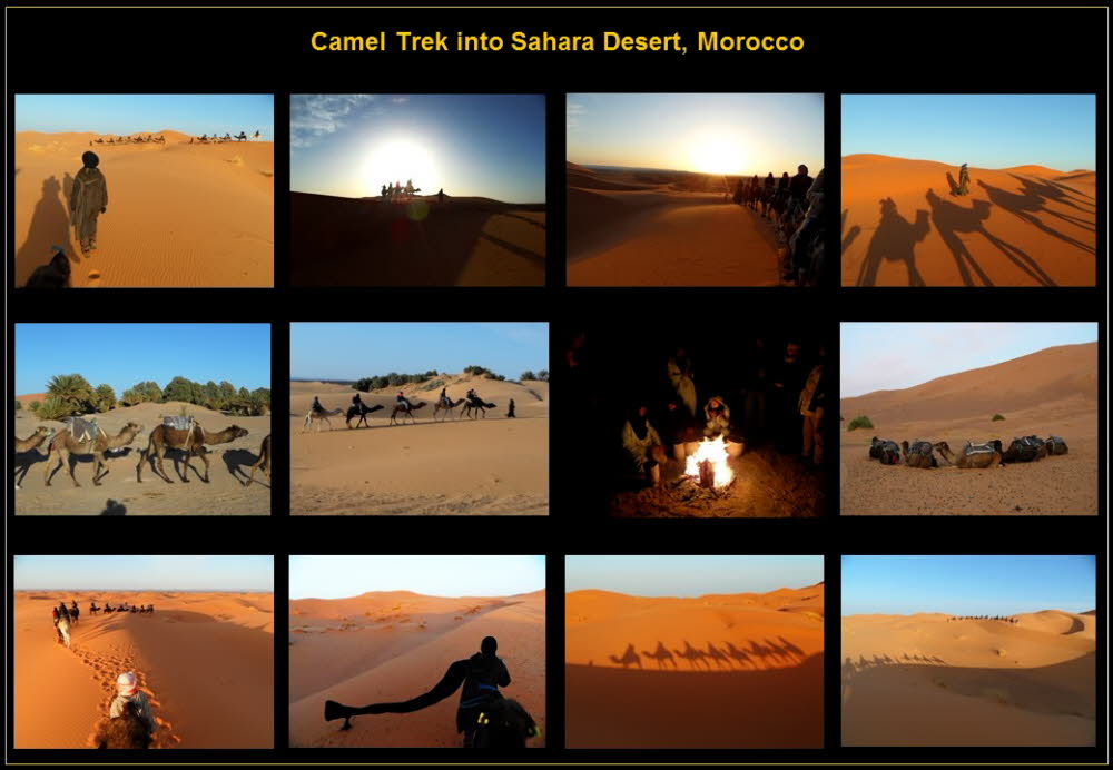 Africa (26)
