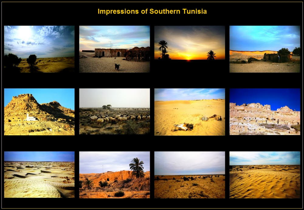Africa (29)