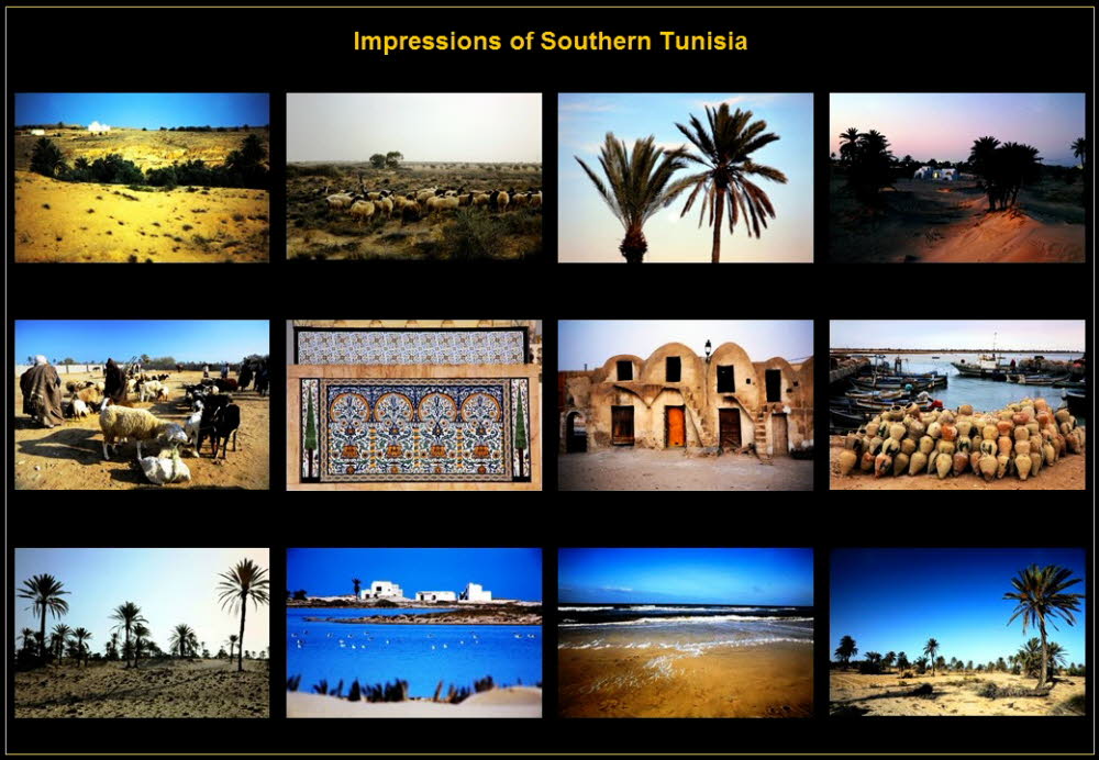 Africa (30)