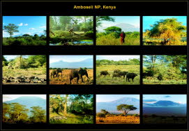 Africa (4)
