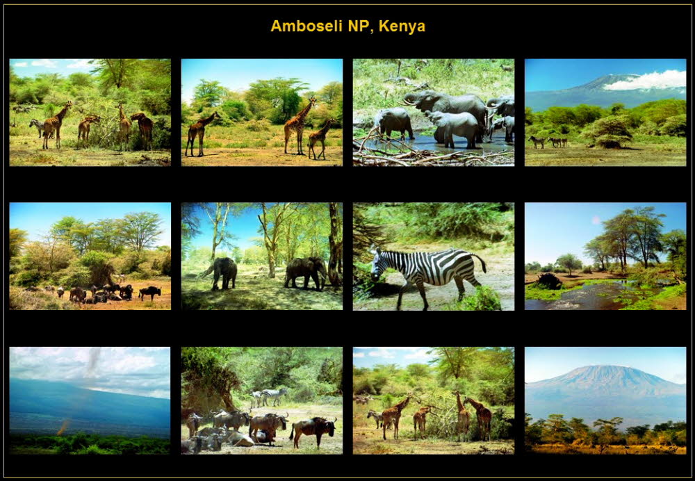 Africa (6)