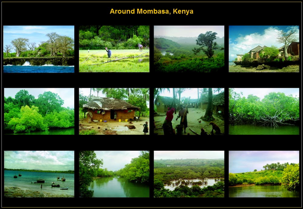 Africa (7)