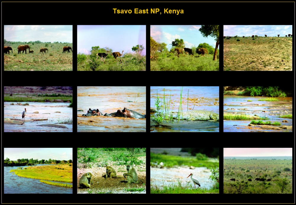 Africa (9)
