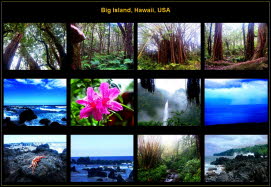 America (105)