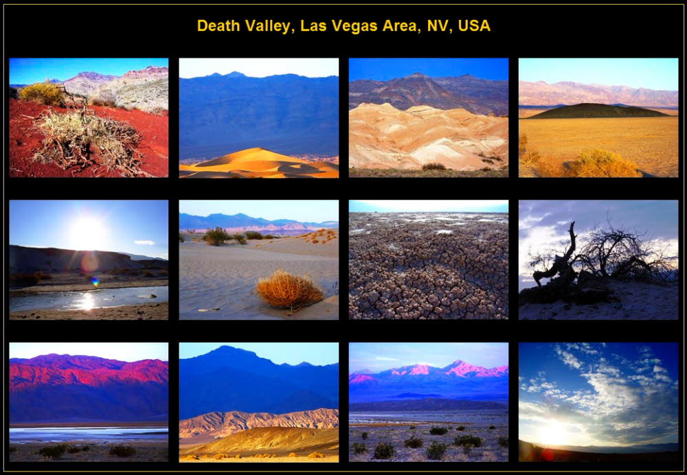 America (113)
