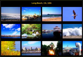 America (40)