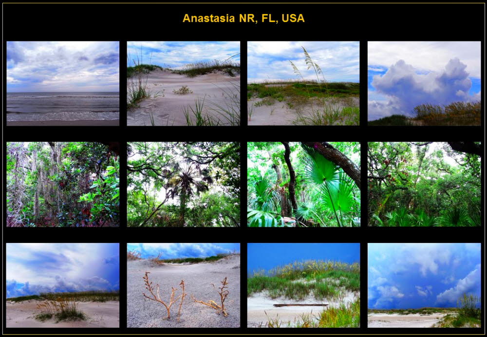 America (98)