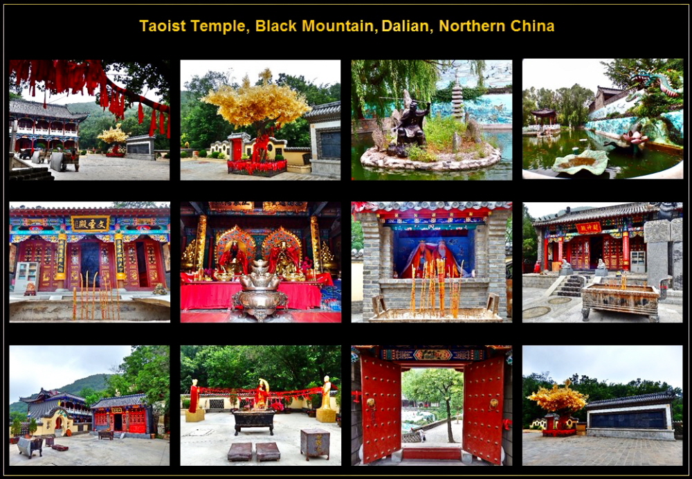 Asia (117)