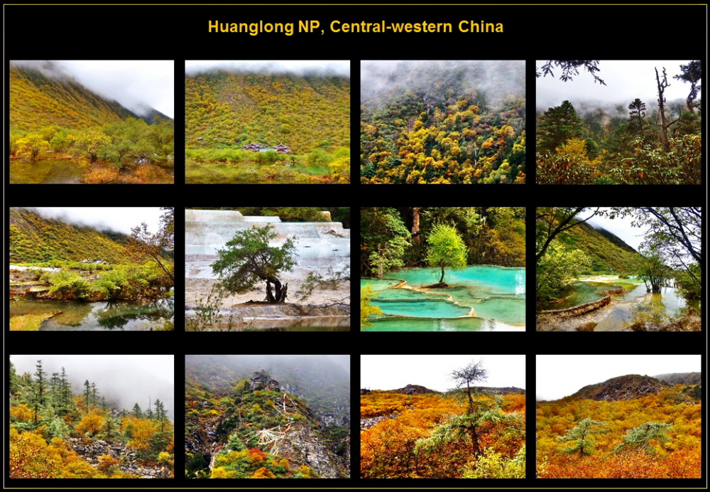 Asia (143)