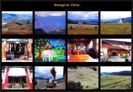 Asia (45)