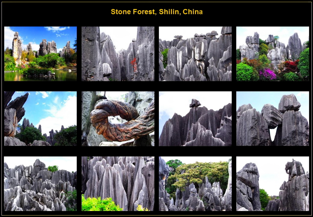 Asia (49)