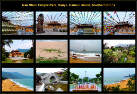 Asia (63)