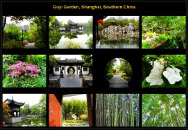 Asia (70)