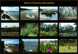 Australia (10)