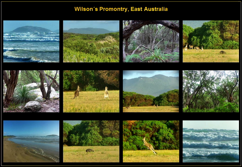 Australia (11)