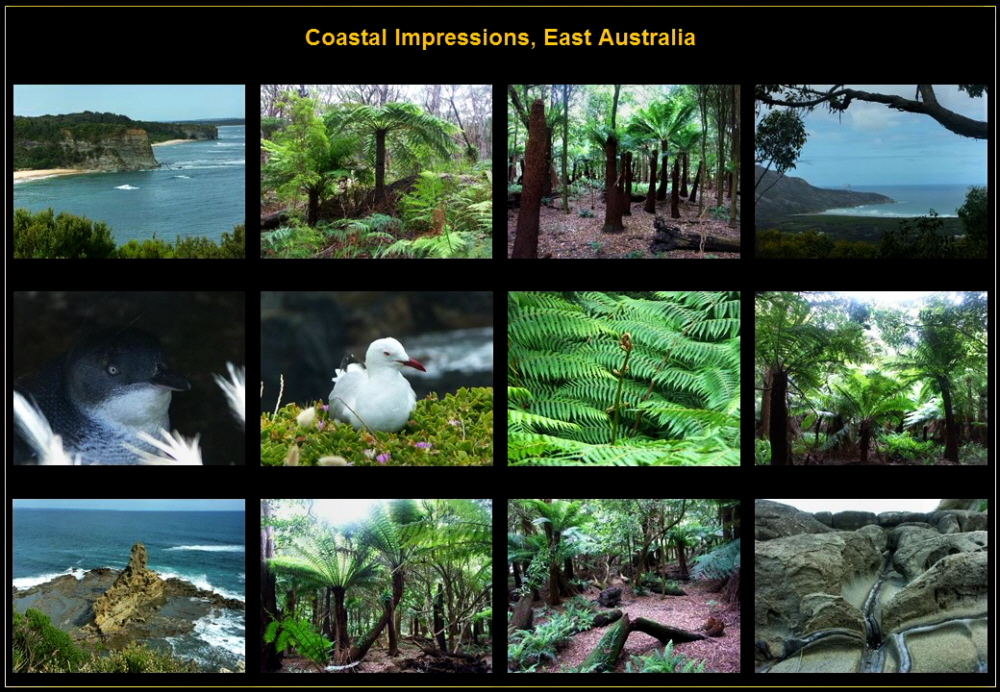 Australia (3)