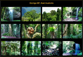 Australia (5)