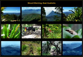 Australia (7)