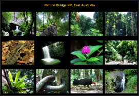 Australia (8)