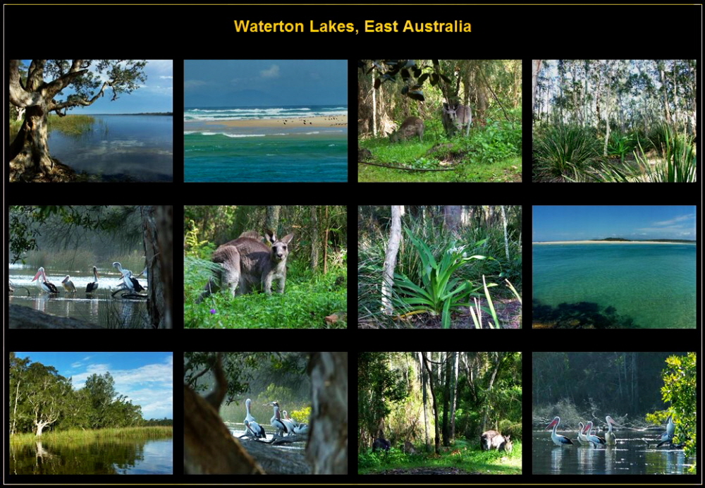 Australia (9)